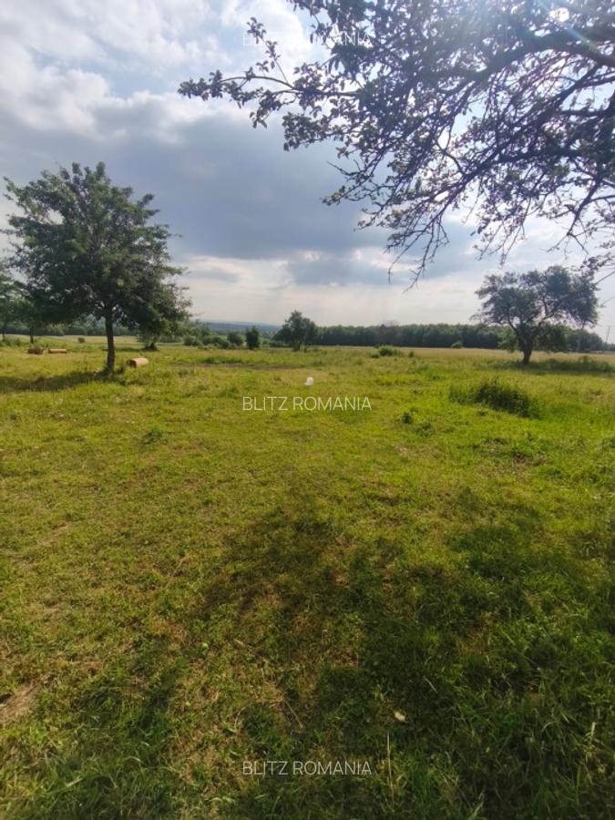 Casa+teren 5000mp, 70ml la DN 2E, zona Cacica, Radauti - 2