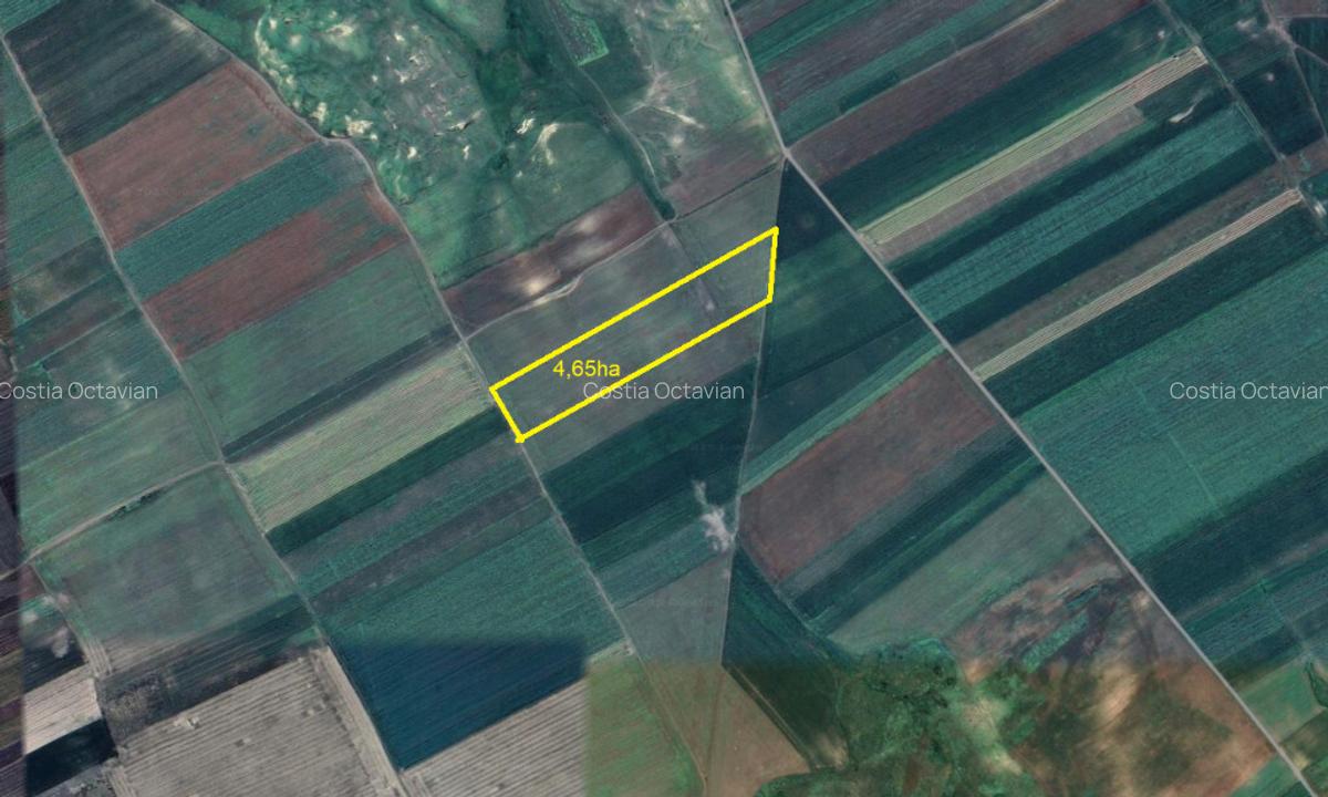 Persoana fizica - teren extravilan agricol Sipote, Jud. Iasi, 46500 mp - 7