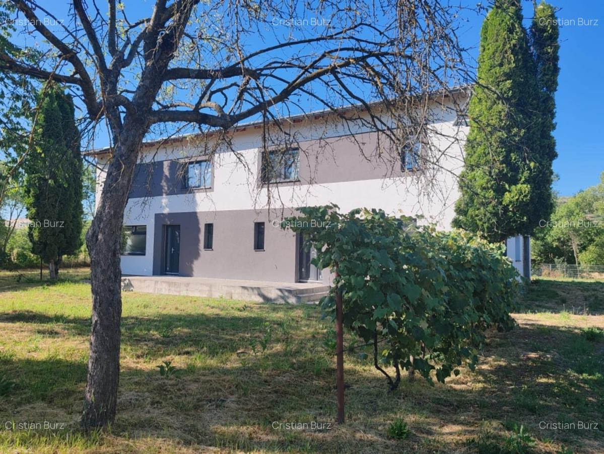 Duplex de vanzare, 180 mp utili, 1600mp curte, Dabaca - 3