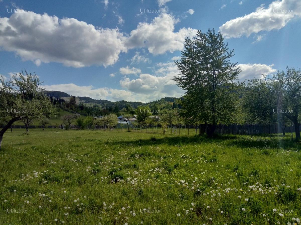 Teren intravilan in Nereju, Vrancea - 2