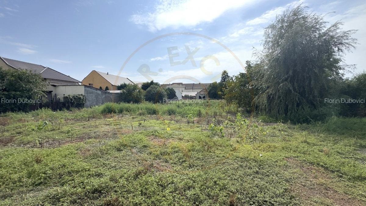 Cladire 12 incaperi, Teren 3.457 mp Str.Iuliu Maniu Nr.13 -Carei- Jud. Satu Mare - 9