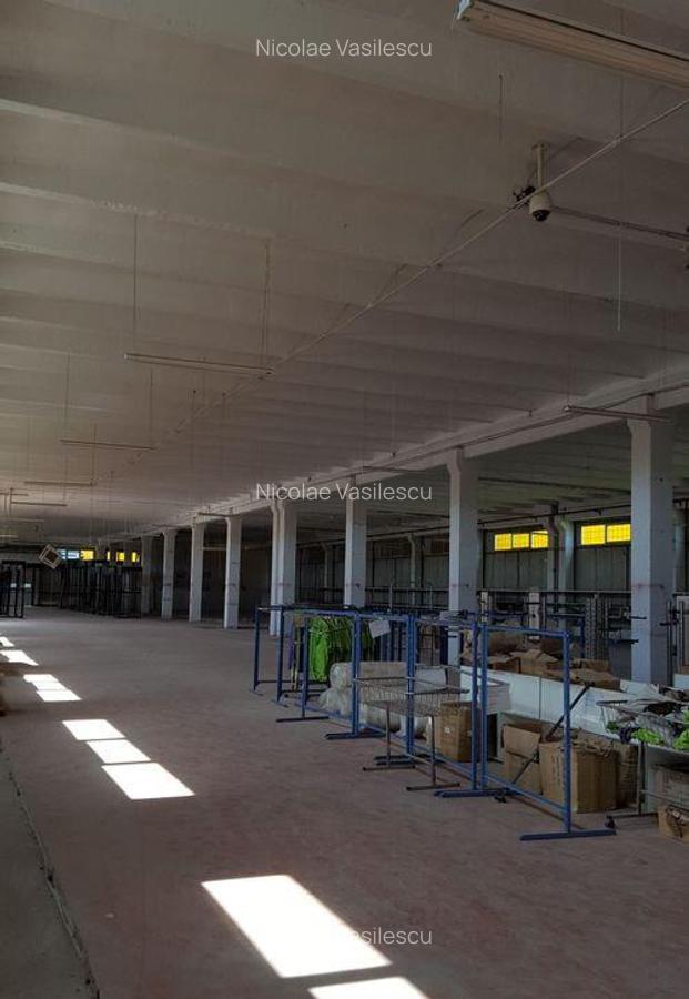 Spa?iu depozitare si productie Ciolpani - 7