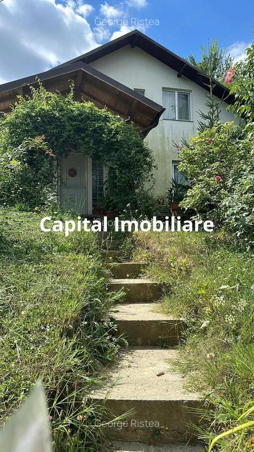 Casa Baicoi 95 mp Sc, 2578 mp teren - 6