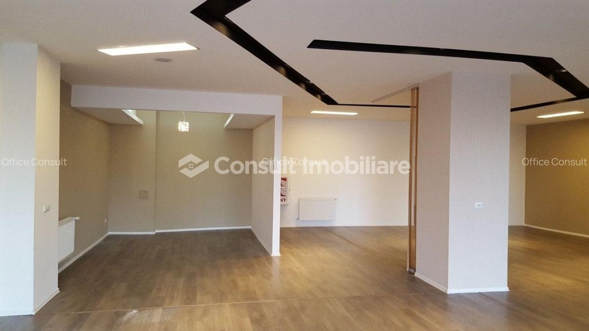 Spatiu comercial, zona strazii Observatorului - 4