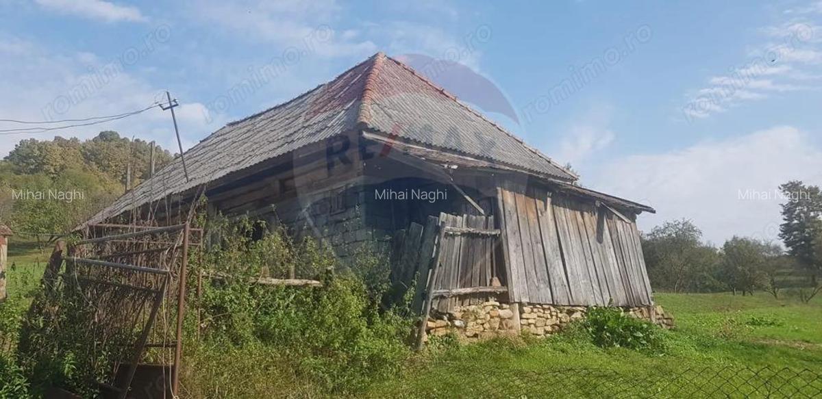 Casa si teren 1.6 ha de vanzare, in Rona de Jos - 3