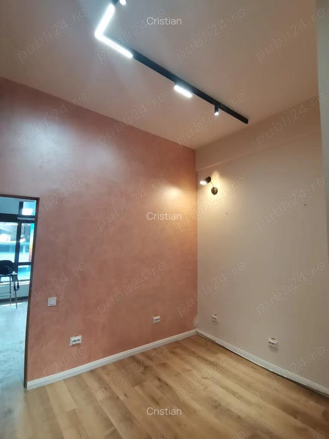 Spatiu comercial, 30 mp, str. Lapusneanu. - 6