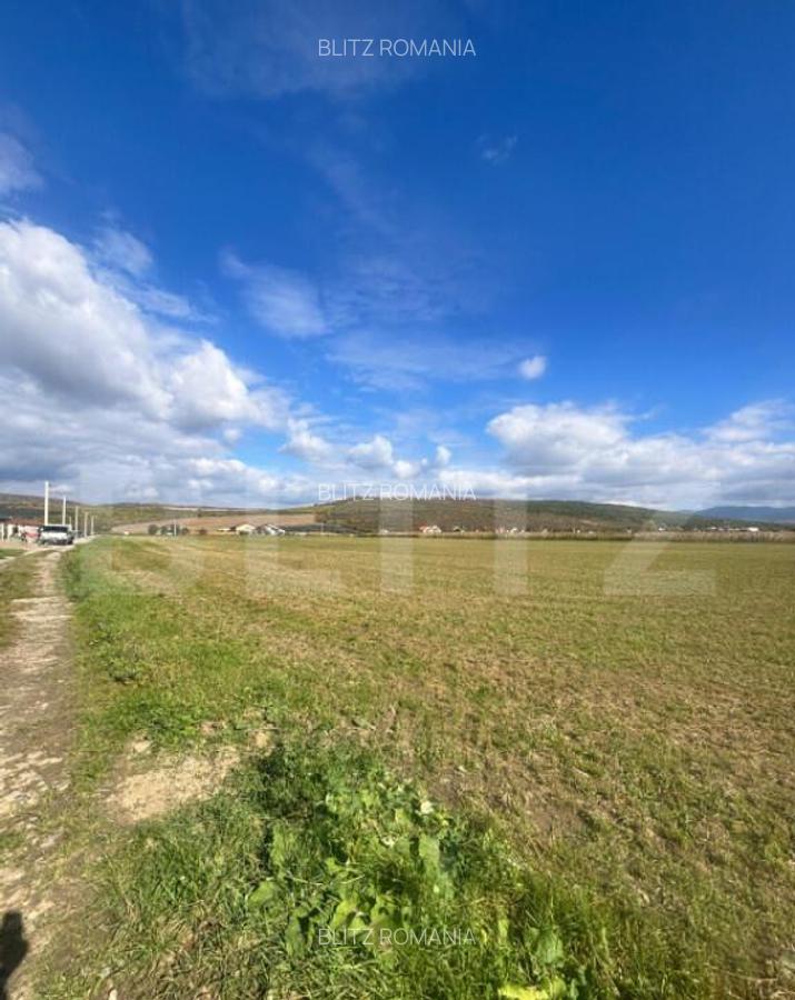 Teren Extravilan in Apropiere de Jelna 25.800 mp, cu Ut - 4 Teren Extravilan in Apropiere de Jelna 25.800 mp, cu Ut - 4