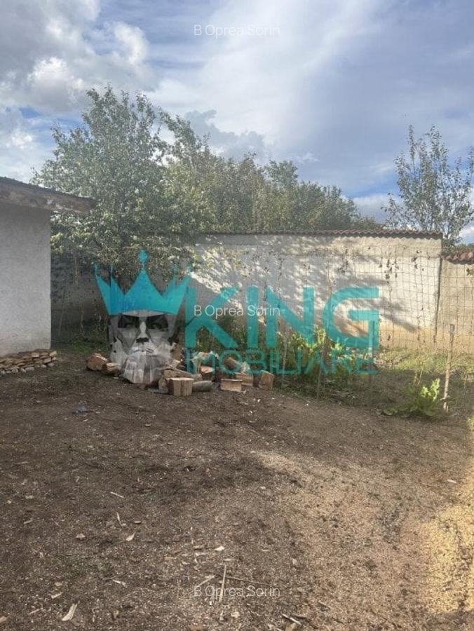Cristian  | 7 Camere | Necesita renovare - 19