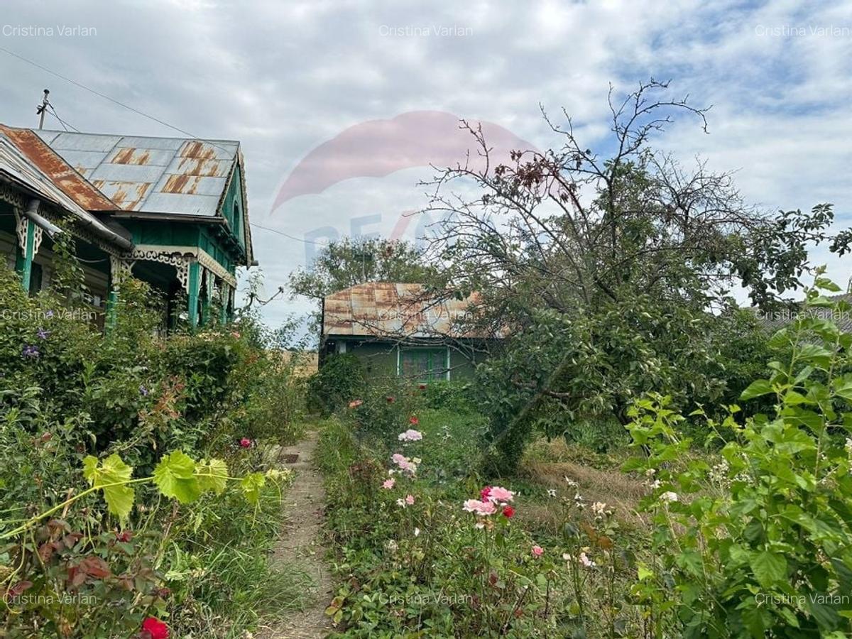 Teren intravilan 4.779 mp + casa si anexe - Girov, Neamt - 15