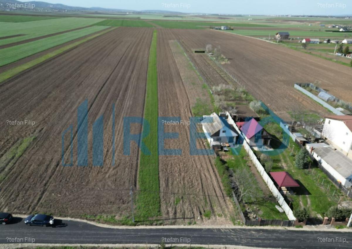 Teren de vanzare, Com. Nicolae Balcescu, Jud. Bacau - 3 Teren de vanzare, Com. Nicolae Balcescu, Jud. Bacau - 3