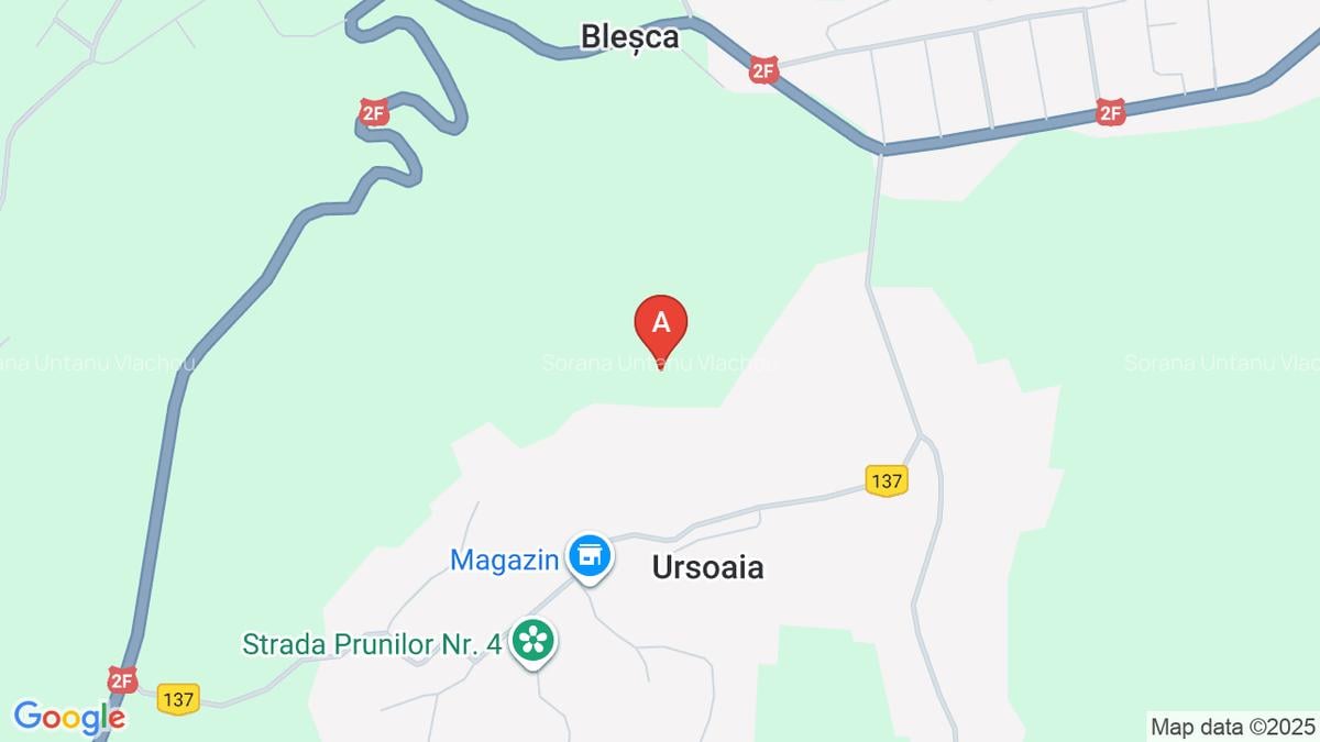 De vânzare  teren extravilan valea Stejarului 1 ha și restul Costisa - 1 De vânzare  teren extravilan valea Stejarului 1 ha și restul Costisa - 1