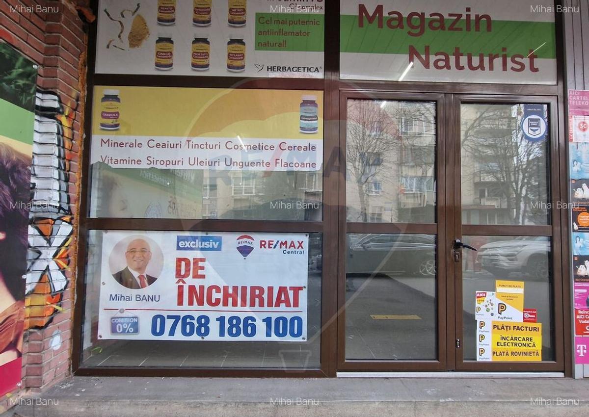 Spa?iu comercial de inchiriat Scriitorilor, strada Cara... - 11
