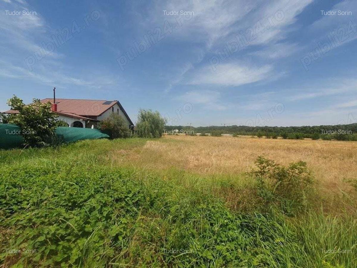 Teren situat in Balotesti,langa padure,acces drum pietruit, 28000 euro - 7