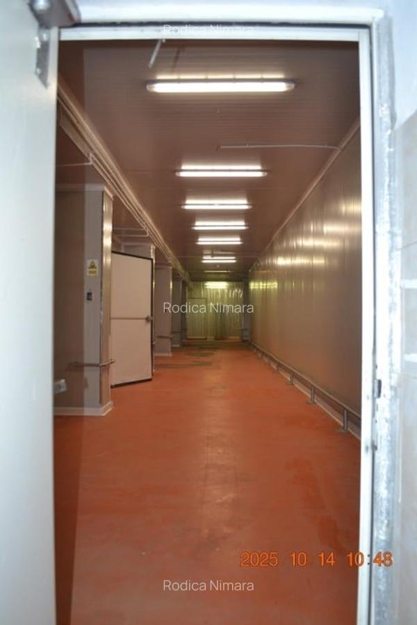 Proprietar vand hala spatiu industrial si teren sos Bucuresti Magurele nr 282 - 3