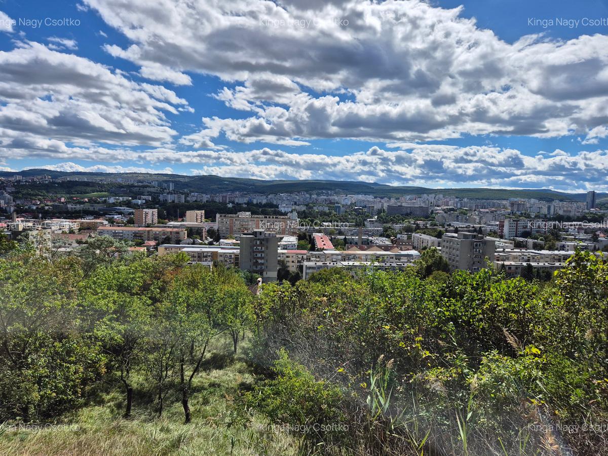 De vânzare – Apartament cu teren generos în cartierul Grigorescu, strada Donath - 2