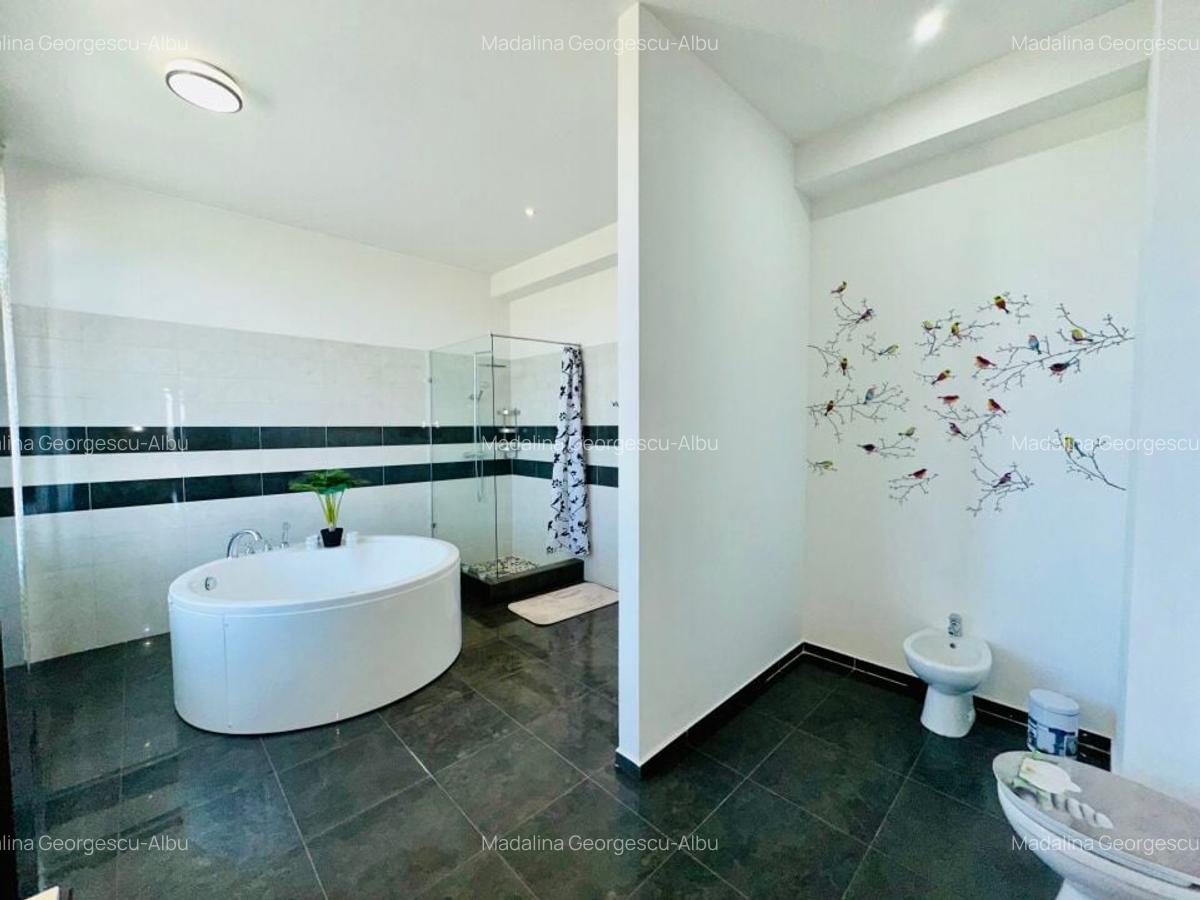 Aleea Privighetorilor- Penthouse 833 mp utili mobilat complet 3600 Euro + TVA - 18