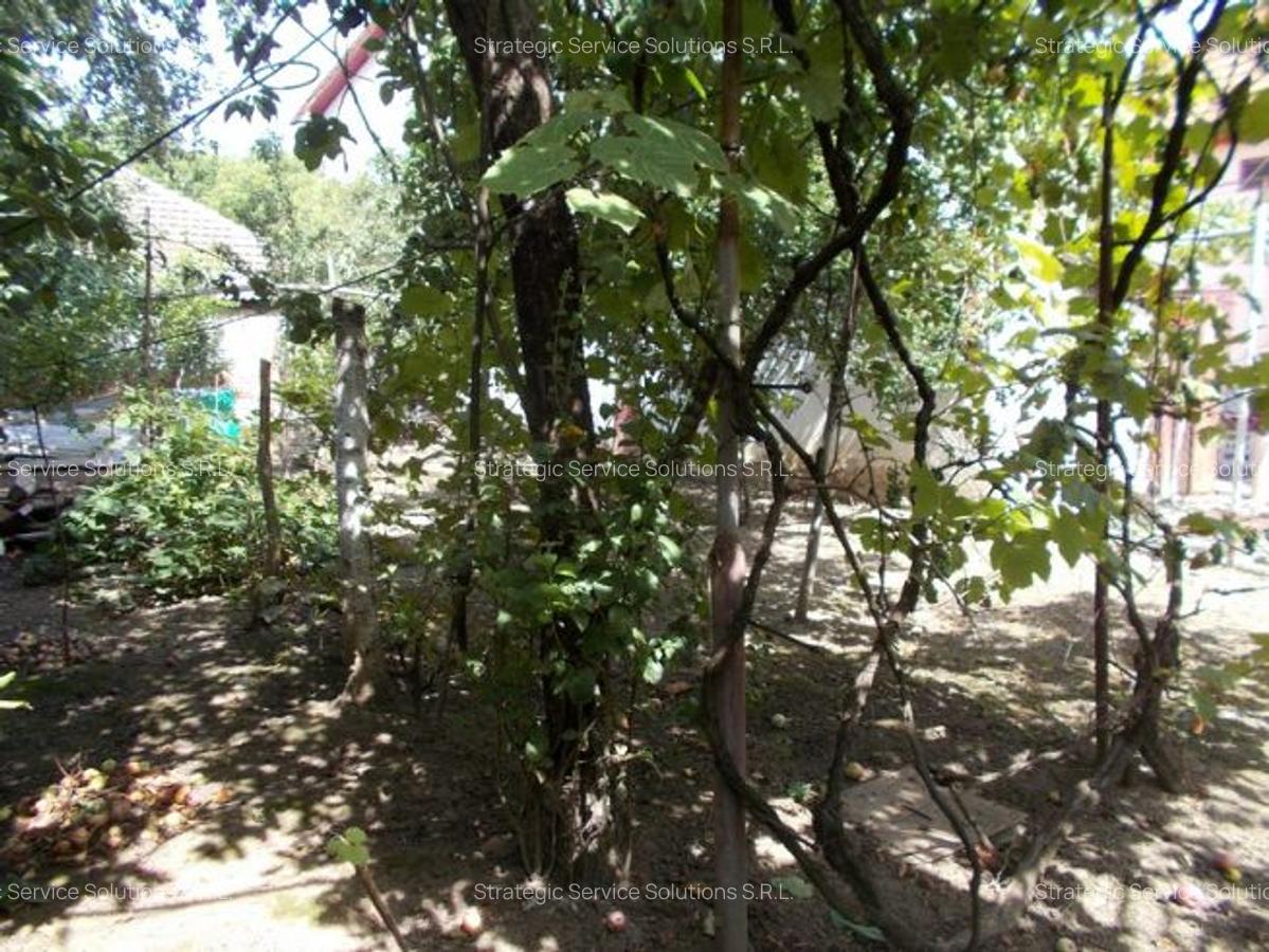 Casa veche, Timisoara, Modern, 3 cam, teren 427mp, utilitati - 4