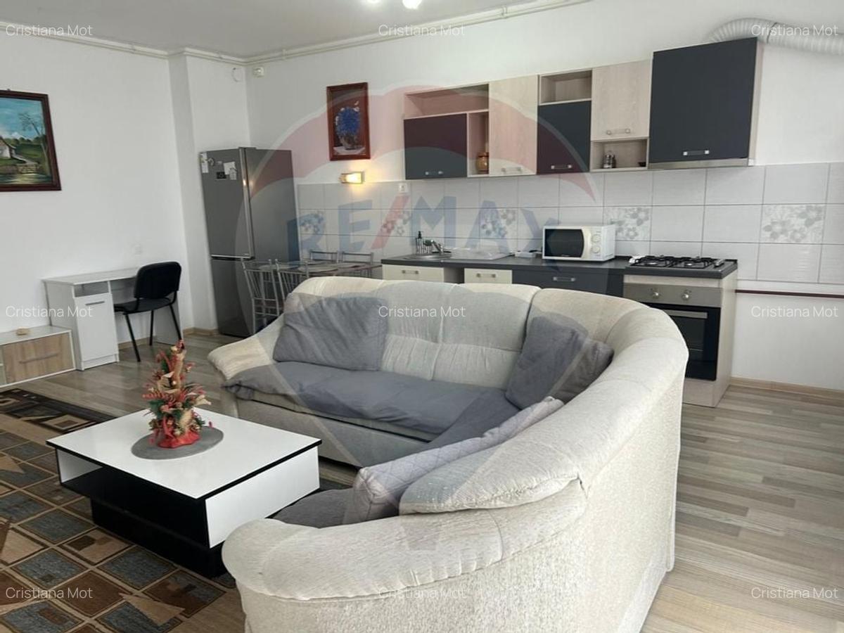 De inchiriat apartament 2 camere - RED 21, Arad - 15