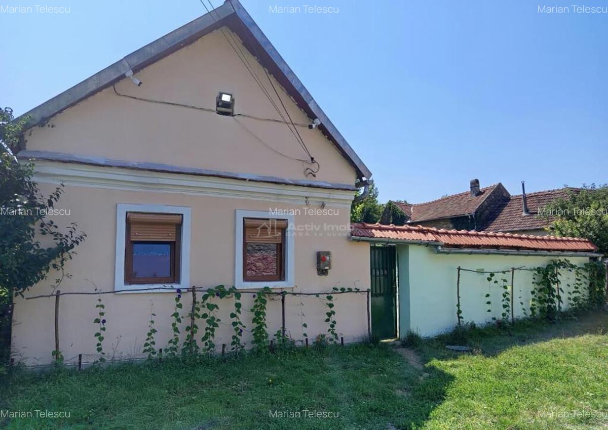 Ilidia, Casa de Vacanta, 3 Camere, 899mp Teren, Usor Negocia - 3