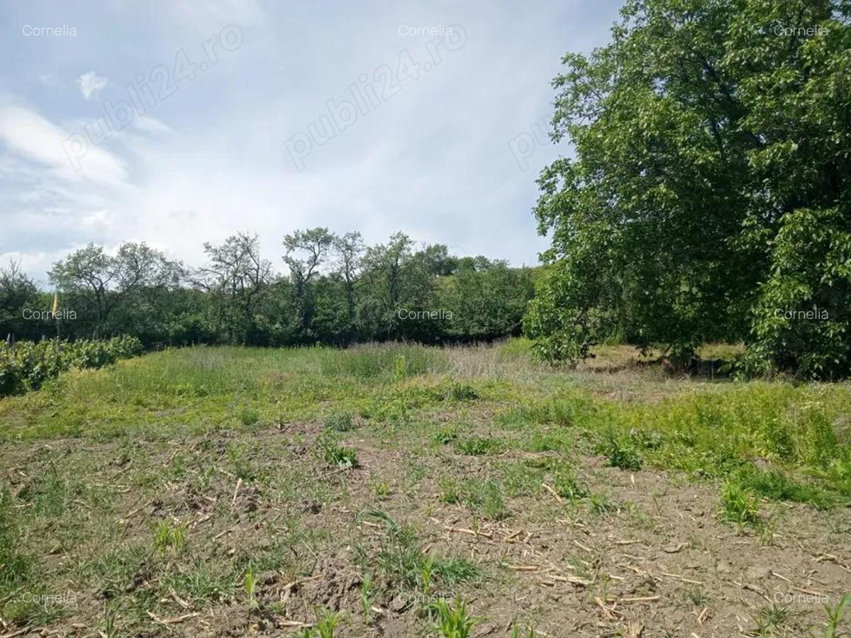 Casa de vanzare Almasu Mare - 6