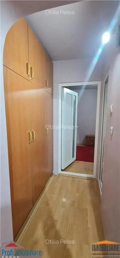 Apartament 2 camere zona Micalaca langa zona 300 - 14