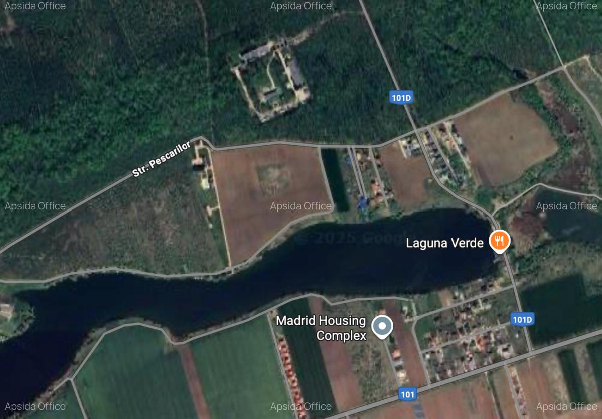 Teren de vânzare cu acces direct la lac, între pădure și apă – Moara Vlăsiei - 3