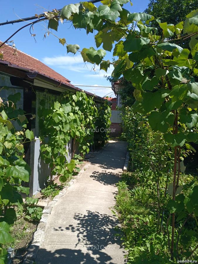 Case de vinzare confort apartament - 9