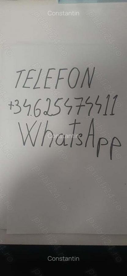 Se vinde casa la rosu - 9