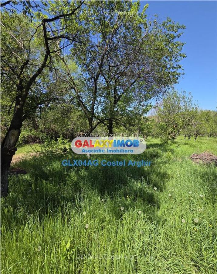 Vindem teren intravilan 3600 mp Calinesti , deschidere 58 m - 7