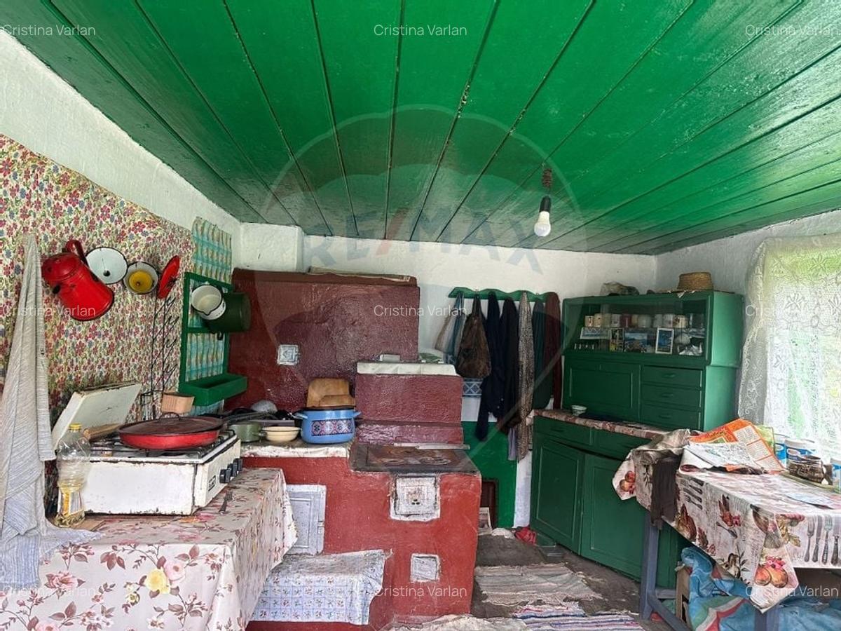 Teren intravilan 4.779 mp + casa si anexe - Girov, Neamt - 9