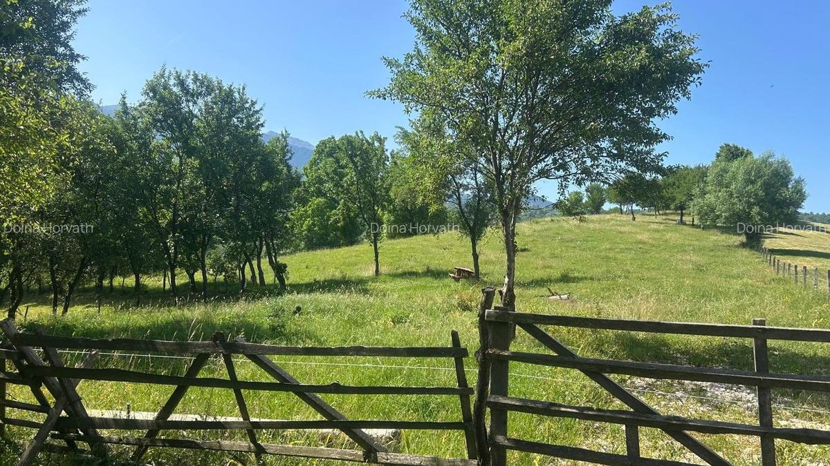 Teren Sohodol cu vedere catre M-tii Bucegi - 6