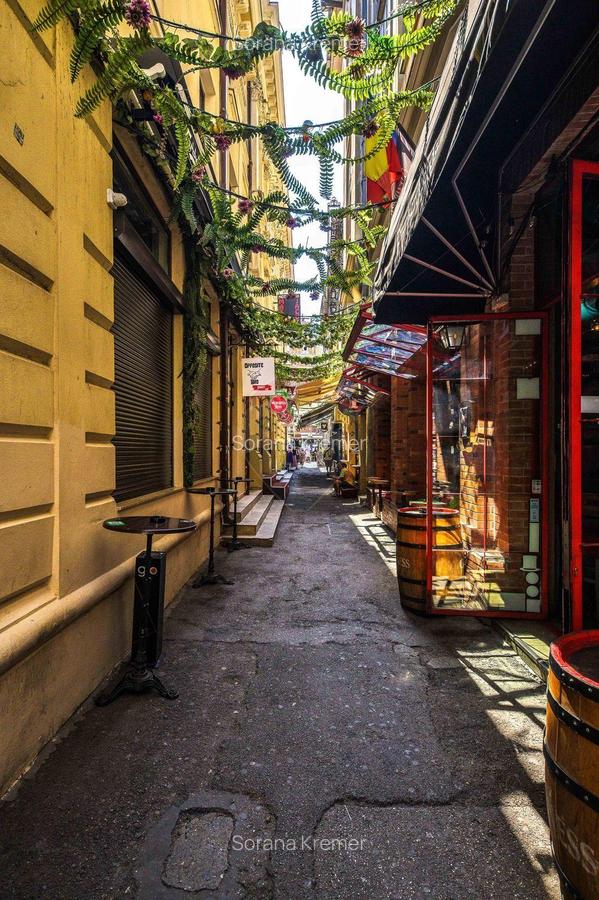 Investi?ie Unica: Cladire Istorica Consolidata ?i Autorizata ISU - 13