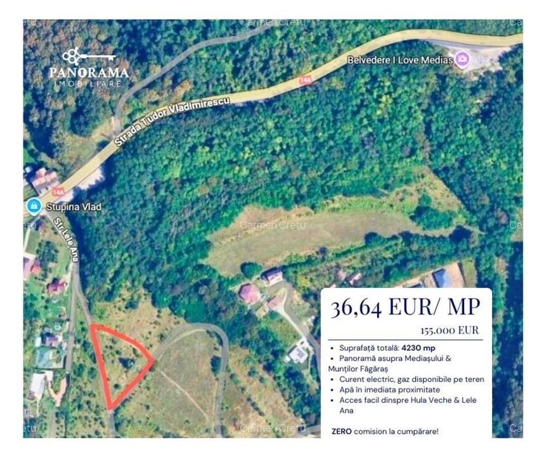 Teren intravilan cu vedere panoramică  4230mp - Mediaș - 2