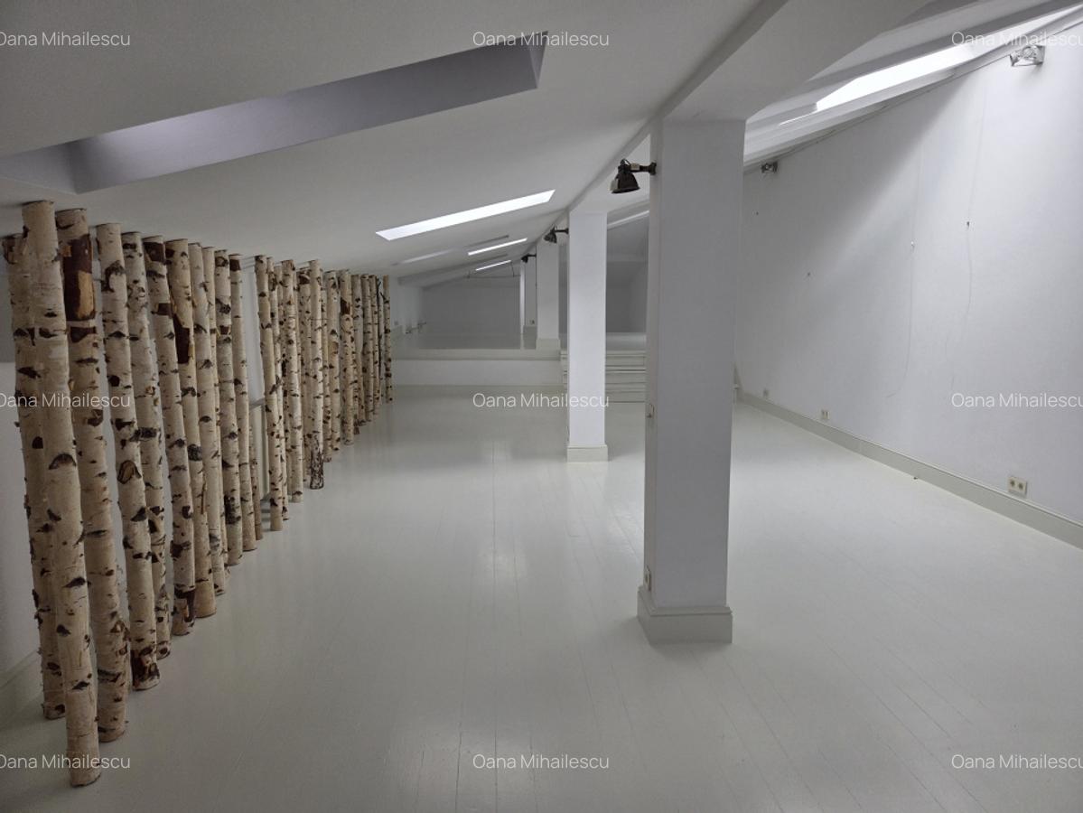 Vila interbelica de inchiriat/pretabila activitati comerciale/Victoriei - 17