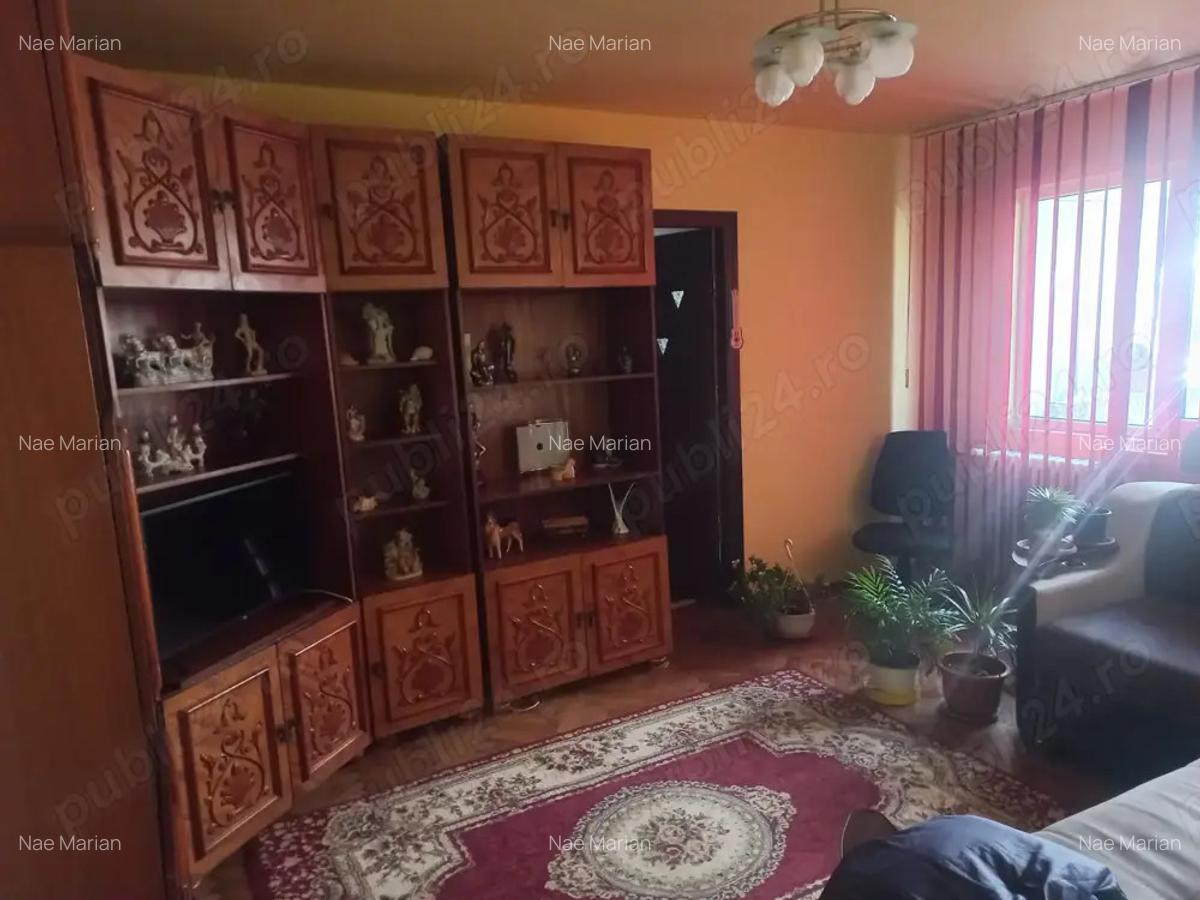 Apartament Malu Rosu - 4