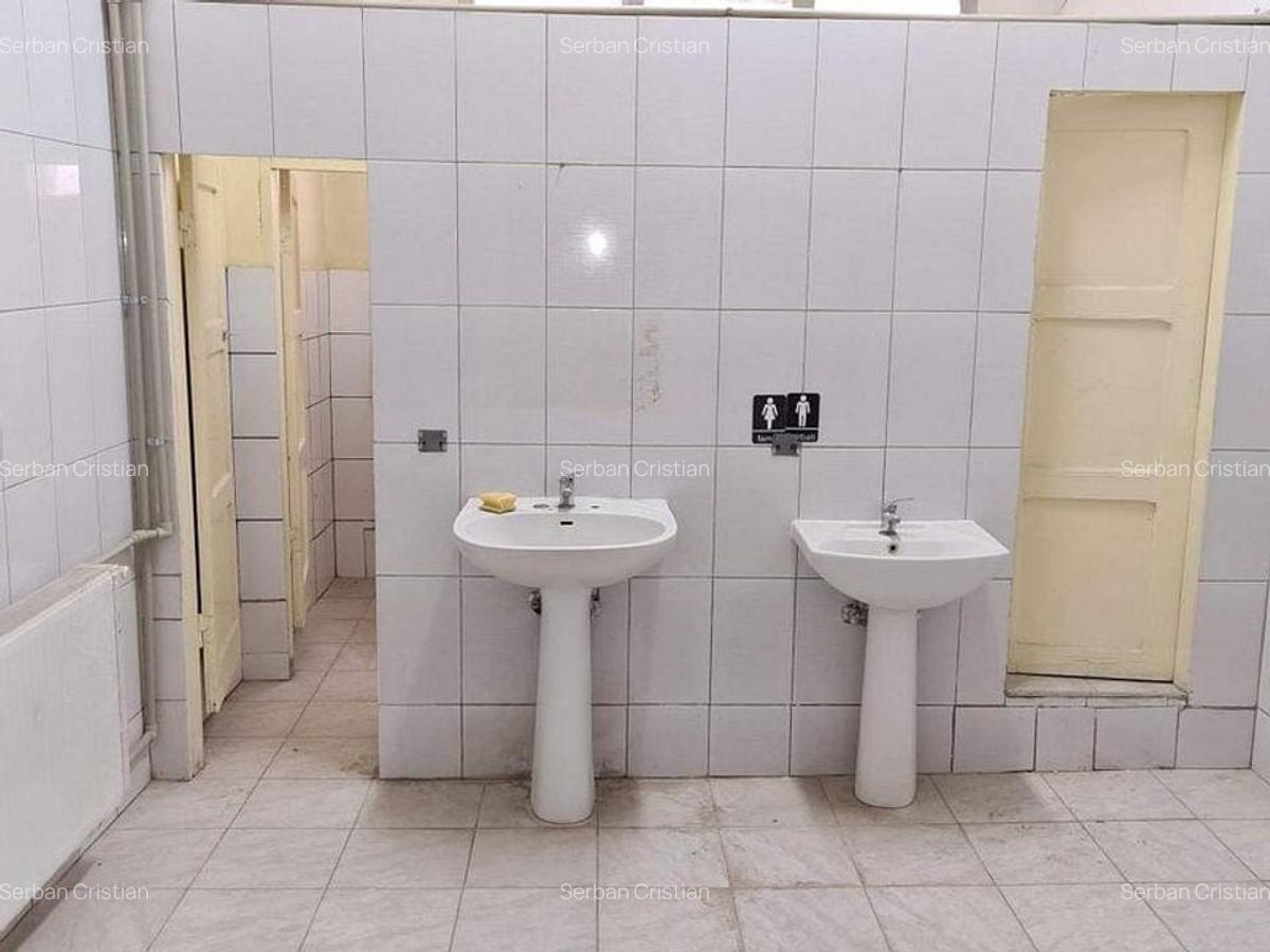 Drumul Intre Tarlale spatiu productie 1350 mp - 6