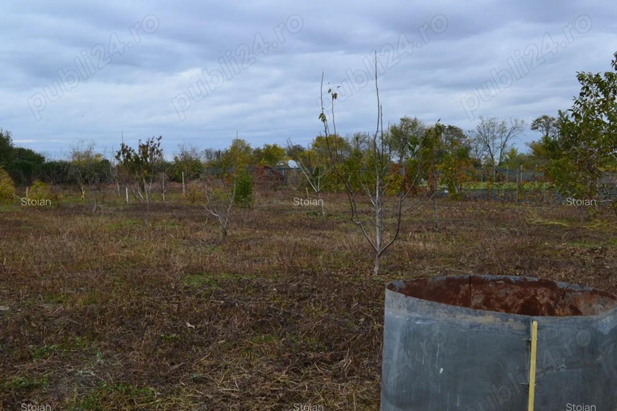 Casa + teren 3.500 mp + anexe gospodare?ti Scor?aru Vechi - 4