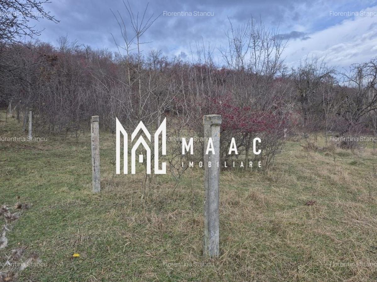 Teren de vanzare | Orlat | Extravilan - 6