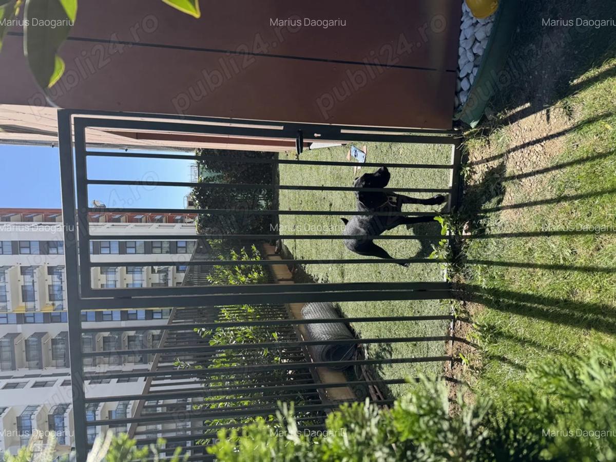 Apartament cu 3 camera + gradina cu vedere la padure - 11