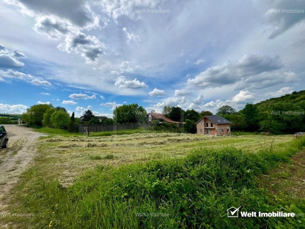 Oportunitate investitie, teren pentru casa, Vlaha - 1