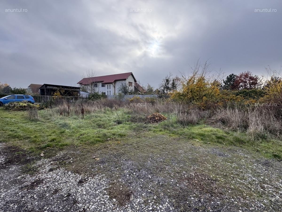 Ilfov Teren deosebit in Branesti sat Pasarea ! - 12