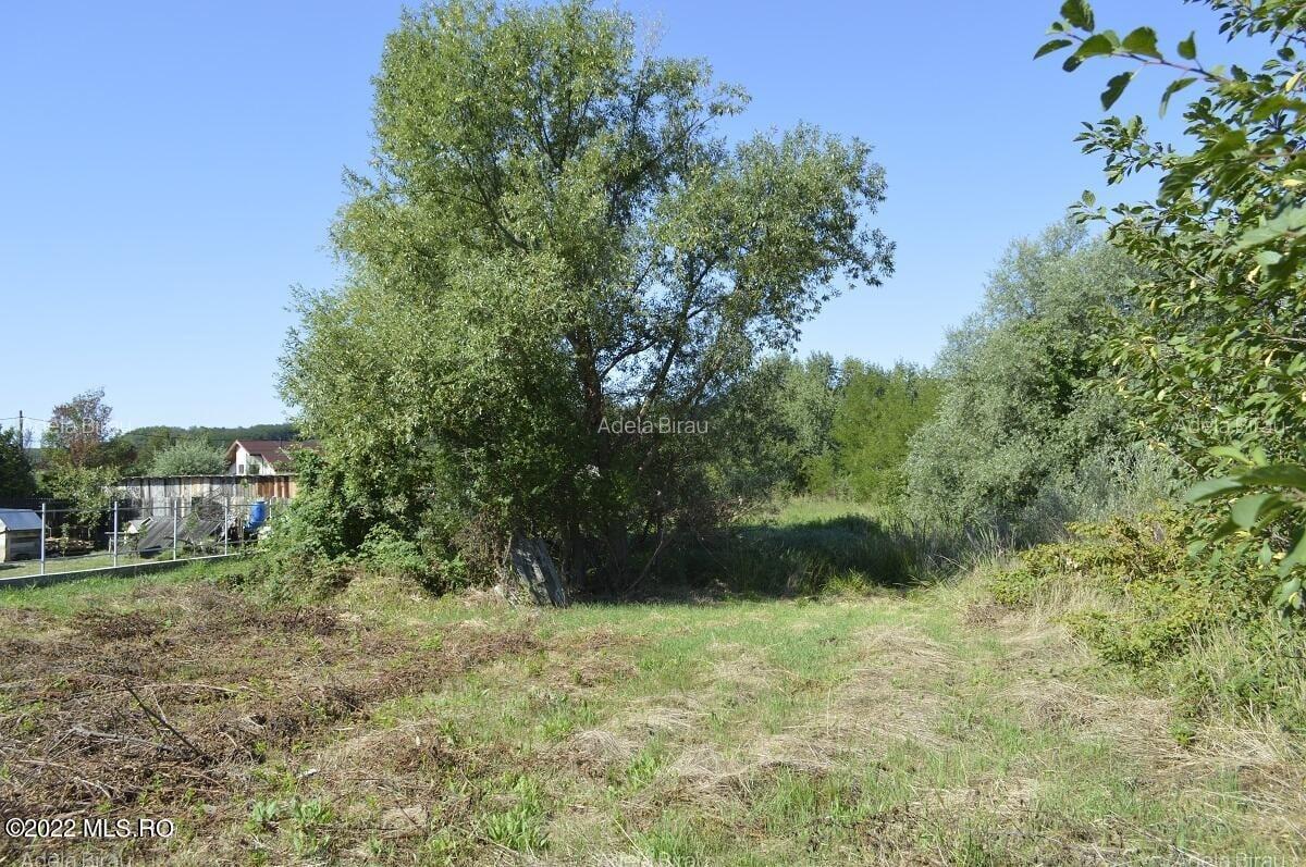 Smeura de Sus - Teren 1428 Mp Dupa Colina Verde, la 2 Km de Trivale! - 10