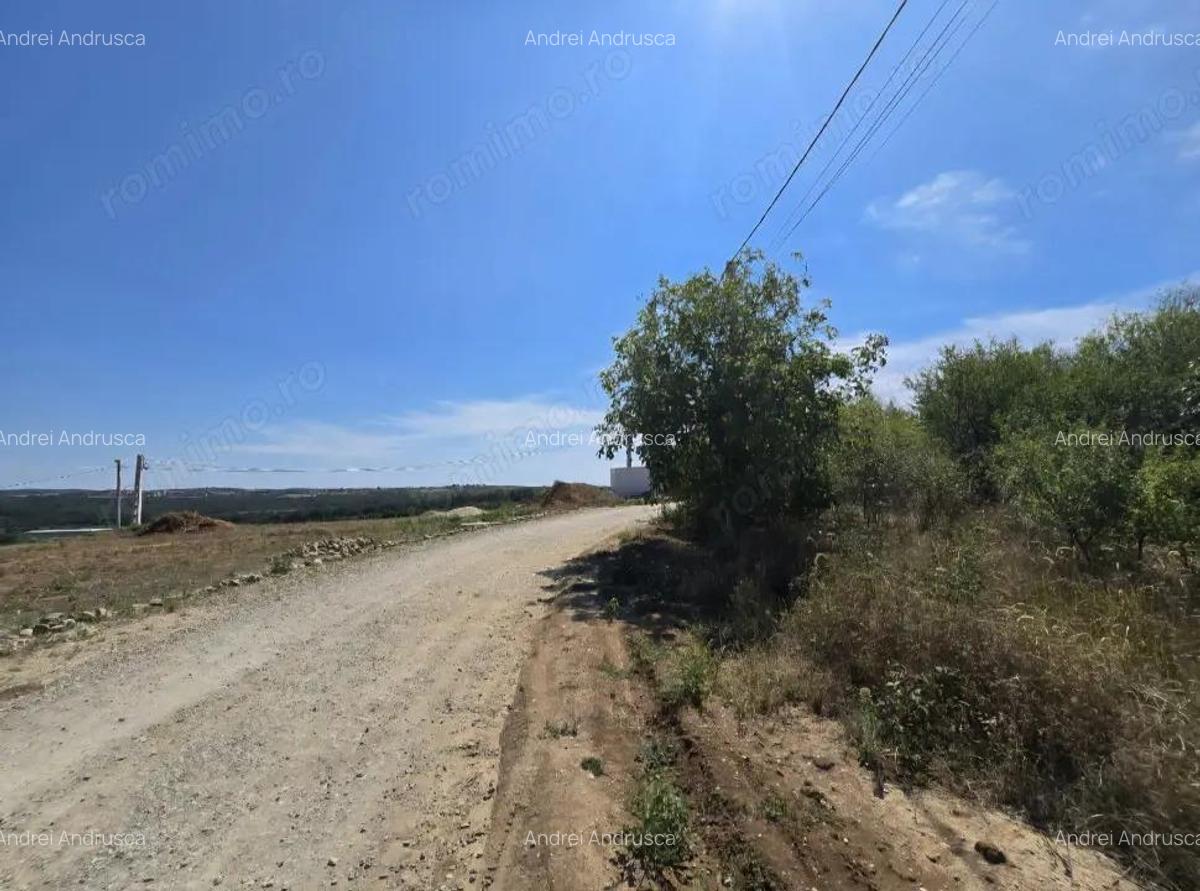 Teren Paleu Intravilan - 1