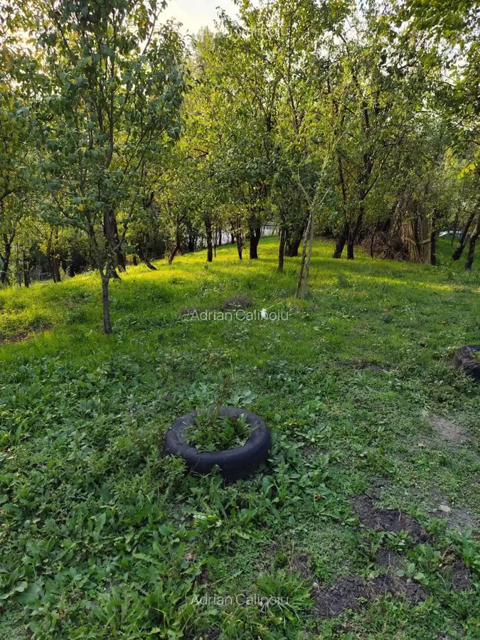 Casa de vanzare - teren 2357 mp in comuna Pietrari - 2