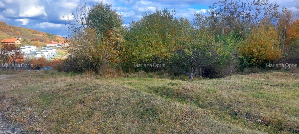 Teren intravilan 1100mp deschidere la drum, de vanzare in Cisnadioara - 3