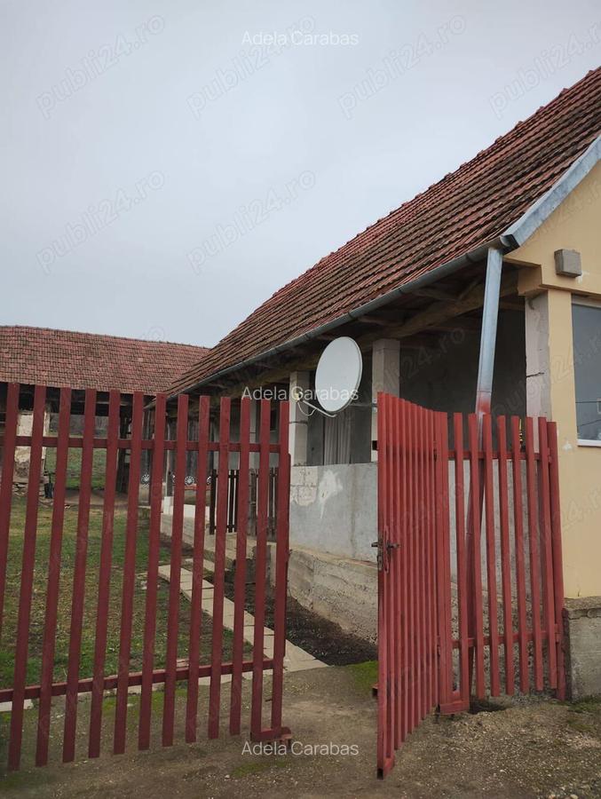 Casa in Cosarii - 5