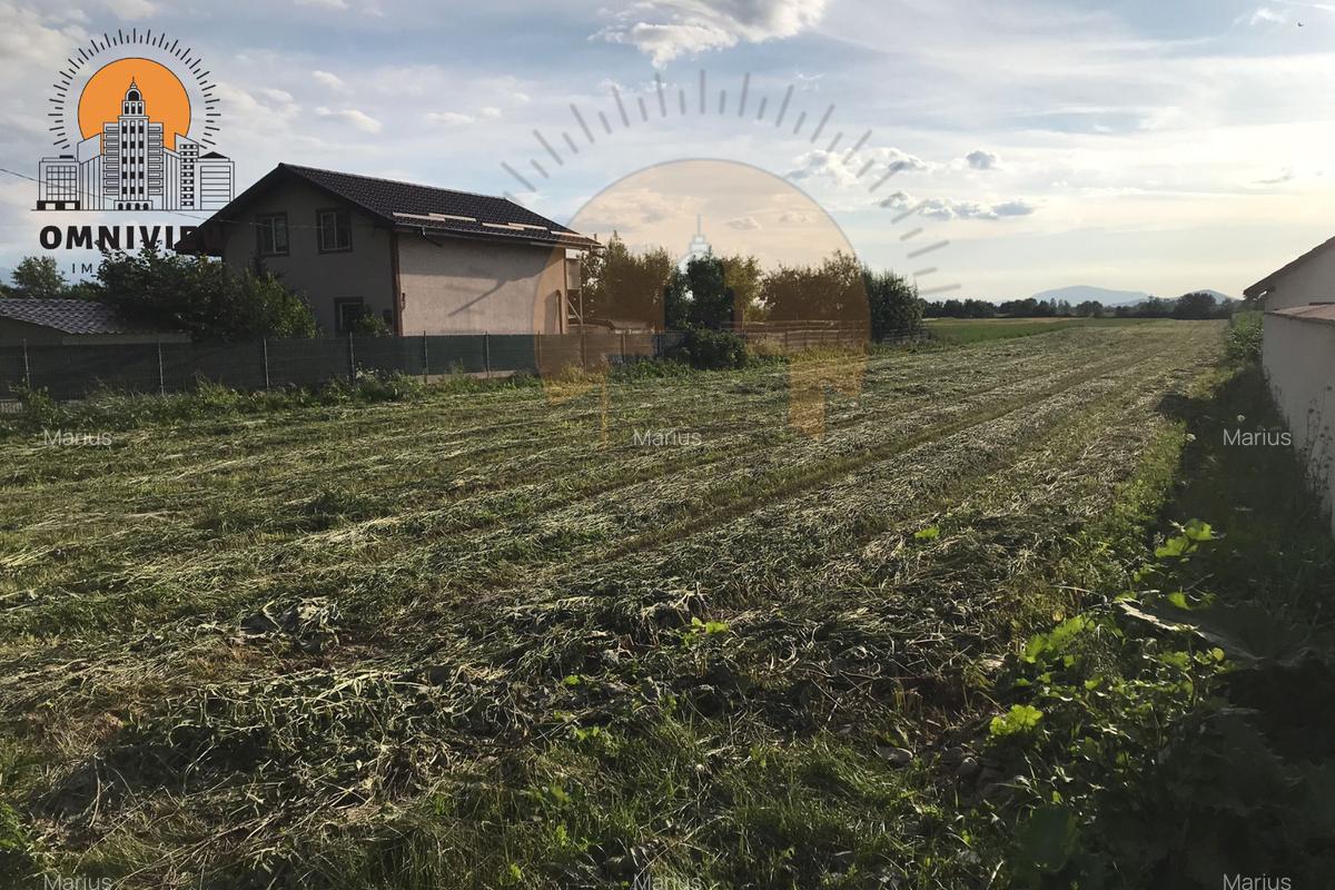 Teren 3.600 mp de Vânzare în Stupinii Prejmerului – Utilități Disponibile - 2