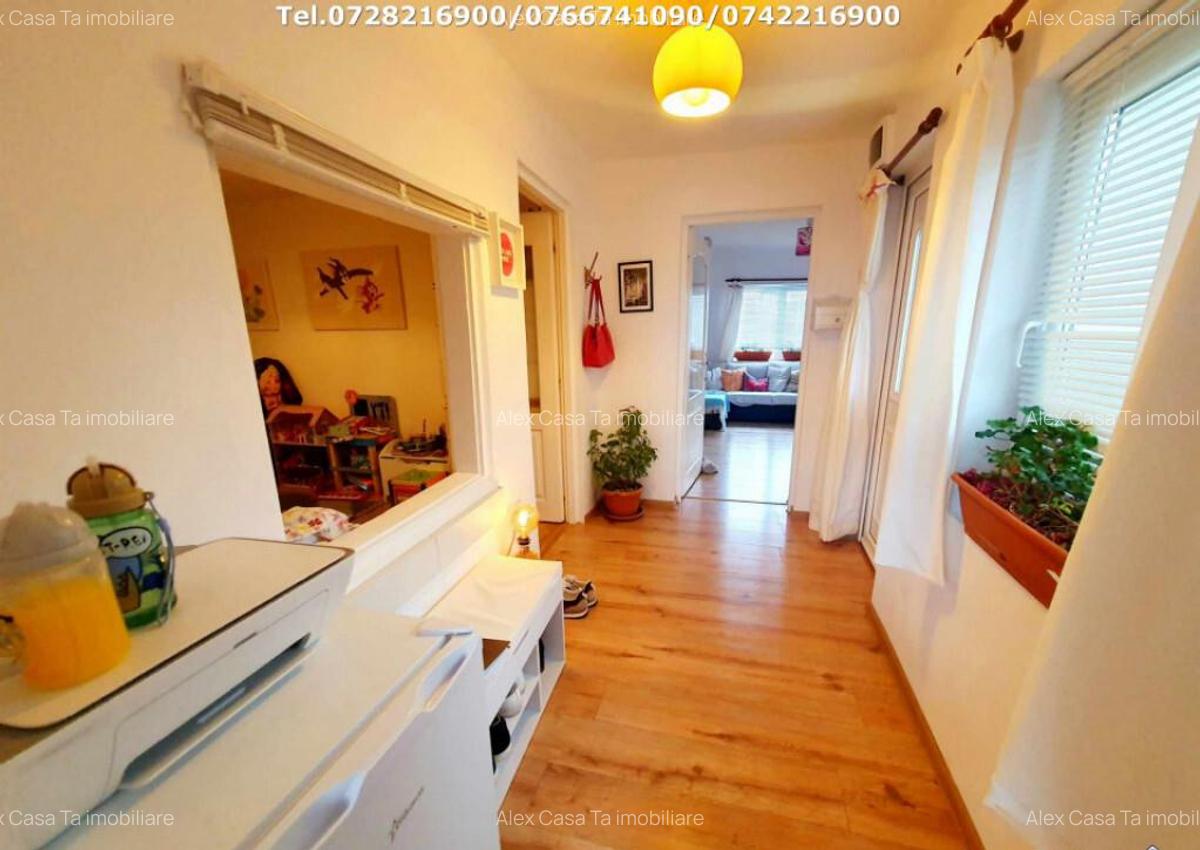 Inchiriere casa cocheta, situata in Tetila (Curti?oara Go - 10