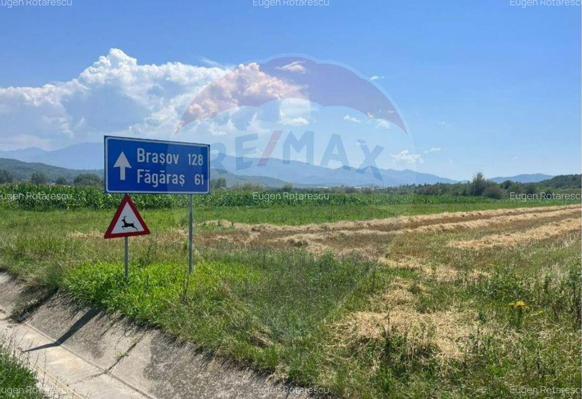 Oportunitate Unica de Investi?ie 14.800 mp Teren St... - 3