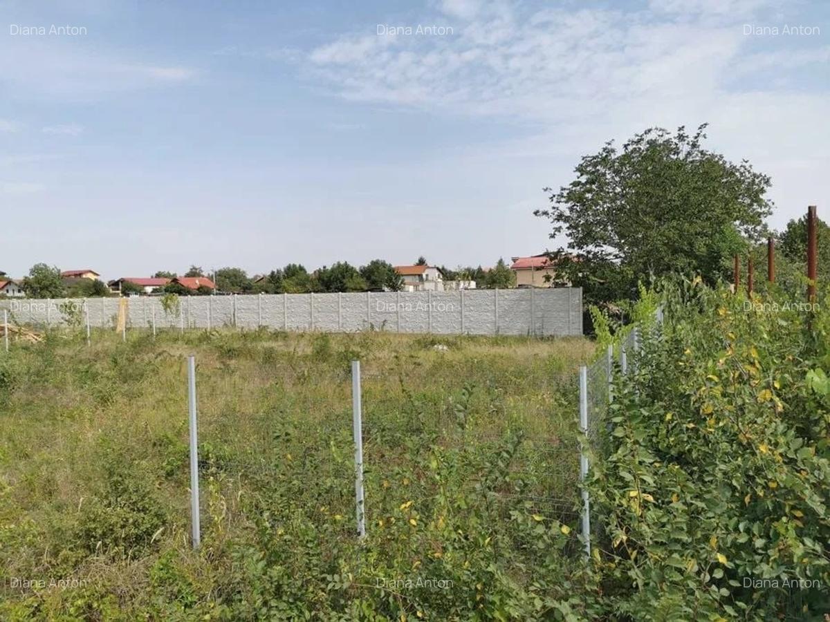 Teren de vânzare in Branesti !!! - 2